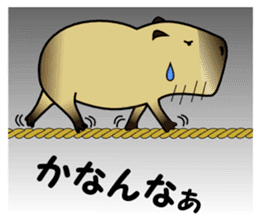 Capybara brothers in Parutom-town sticker #4321589