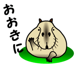 Capybara brothers in Parutom-town sticker #4321599