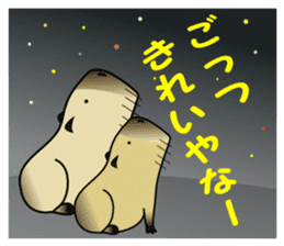 Capybara brothers in Parutom-town sticker #4321600