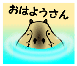 Capybara brothers in Parutom-town sticker #4321603