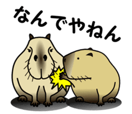 Capybara brothers in Parutom-town sticker #4321605