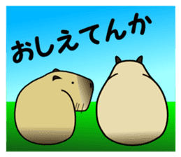 Capybara brothers in Parutom-town sticker #4321606