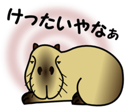 Capybara brothers in Parutom-town sticker #4321613