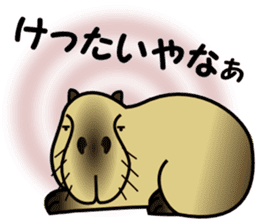 Capybara brothers in Parutom-town sticker #4321613