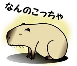 Capybara brothers in Parutom-town sticker #4321614