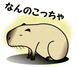 Capybara brothers in Parutom-town sticker #4321614