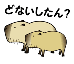 Capybara brothers in Parutom-town sticker #4321618