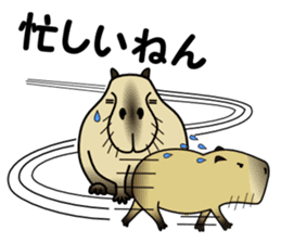 Capybara brothers in Parutom-town sticker #4321619