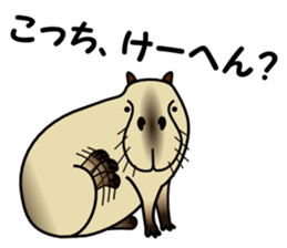 Capybara brothers in Parutom-town sticker #4321621