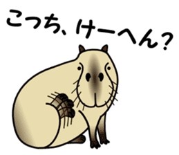 Capybara brothers in Parutom-town sticker #4321621