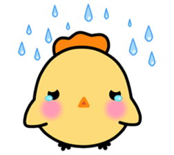 Kook Kai (EN) sticker #4322089