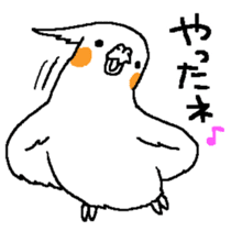 MARU the Cockatiel 2 sticker #4322464