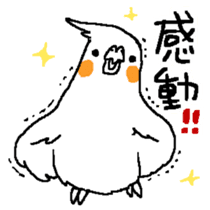 MARU the Cockatiel 2 sticker #4322467