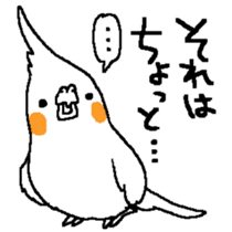 MARU the Cockatiel 2 sticker #4322469