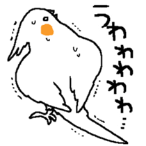 MARU the Cockatiel 2 sticker #4322471