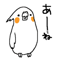MARU the Cockatiel 2 sticker #4322472