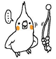 MARU the Cockatiel 2 sticker #4322480