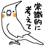 MARU the Cockatiel 2 sticker #4322482