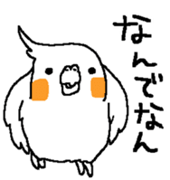 MARU the Cockatiel 2 sticker #4322484