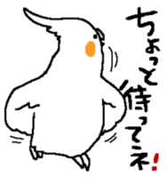 MARU the Cockatiel 2 sticker #4322485