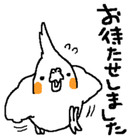 MARU the Cockatiel 2 sticker #4322486