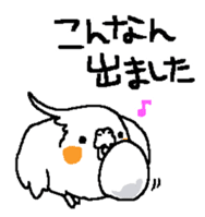 MARU the Cockatiel 2 sticker #4322487