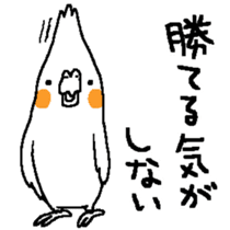 MARU the Cockatiel 2 sticker #4322494