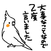 MARU the Cockatiel 2 sticker #4322496