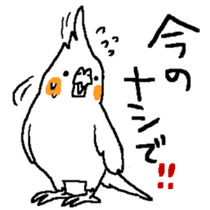 MARU the Cockatiel 2 sticker #4322500