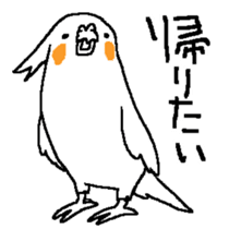 MARU the Cockatiel 2 sticker #4322501