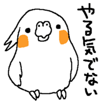 MARU the Cockatiel 2 sticker #4322502