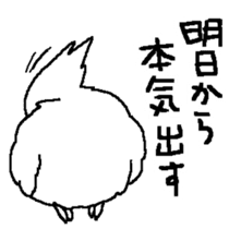 MARU the Cockatiel 2 sticker #4322503