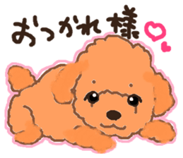a pretty poodle sticker #4323066