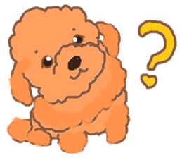 a pretty poodle sticker #4323067