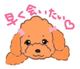a pretty poodle sticker #4323071