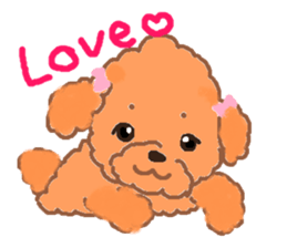 a pretty poodle sticker #4323074
