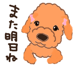 a pretty poodle sticker #4323077