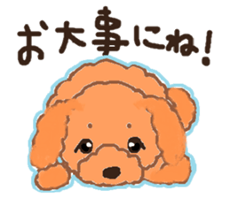 a pretty poodle sticker #4323079