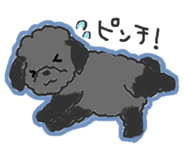 a pretty poodle sticker #4323086
