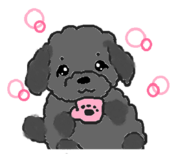 a pretty poodle sticker #4323088