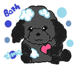 a pretty poodle sticker #4323092