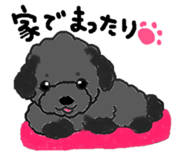 a pretty poodle sticker #4323102