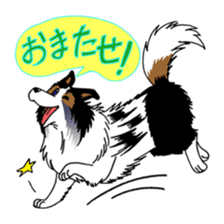 Let's Go! Sankyu! sticker #4324088