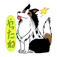 Let's Go! Sankyu! sticker #4324098