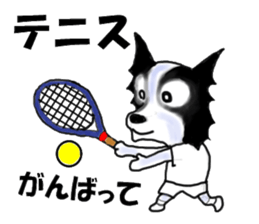 border collie Mr.Very! sport sticker sticker #4325029