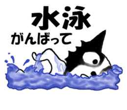 border collie Mr.Very! sport sticker sticker #4325030