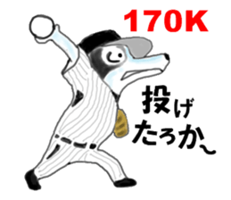 border collie Mr.Very! sport sticker sticker #4325042