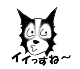 border collie Mr.Very! sport sticker sticker #4325056