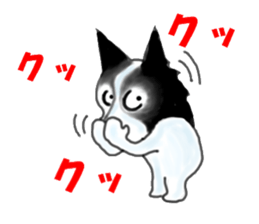 border collie Mr.Very! sport sticker sticker #4325059