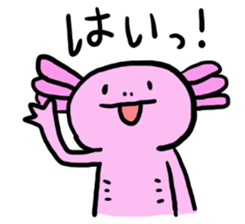Of honorific axolotl. sticker #4327076